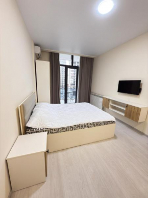 Royal apartment with City View